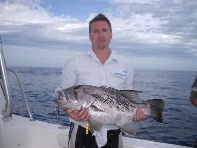 Mightymouse's 10kg dhufish on a Daiwa Pirate, Cervantes , 3 Jan 2011